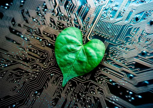 环球体育app案例